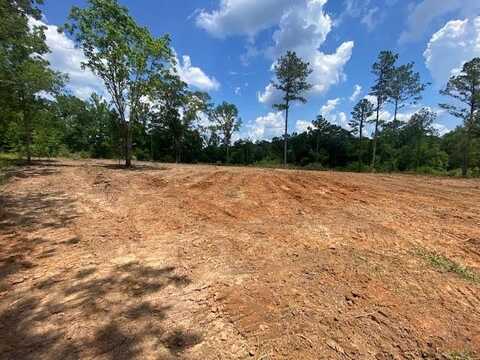 TBD Clairborne Jones Rd, Waynesboro, MS 39367