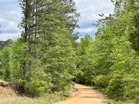 - Pine Grove Road, Waynesboro, MS 39367