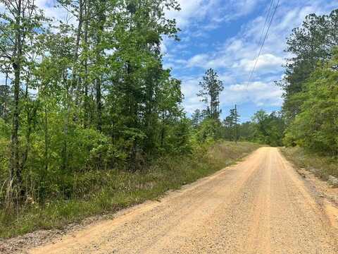 --- Pine Grove Road, Waynesboro, MS 39367