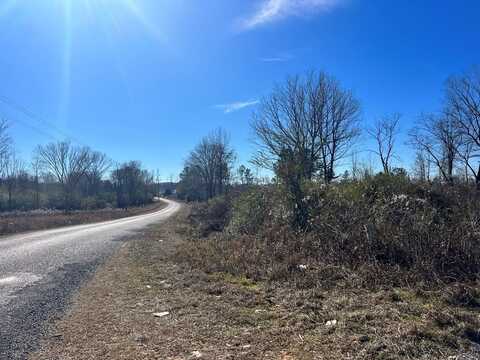 - Pleasant Ridge Road, Forest, MS 39074