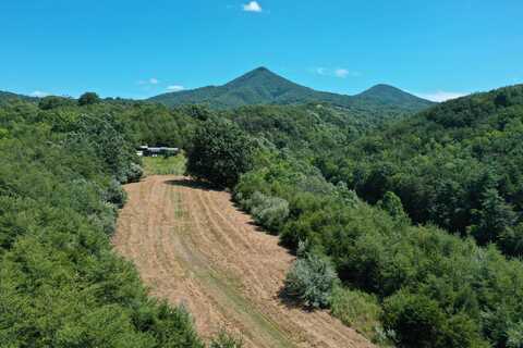 37 Ac. - Sehorn Hollow Rd, Lexington, VA 24450