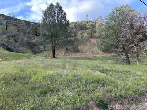 1982 New Long Valley Road, Clearlake Oaks, CA 95423