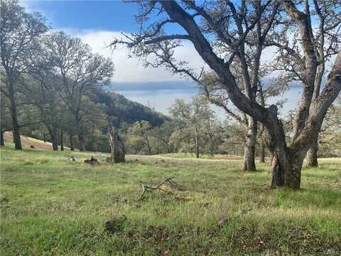 11195 Crestview Drive, Clearlake, CA 95424