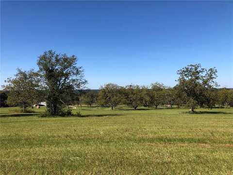 Lot 2 LEE ROAD 0114, BEAUREGARD, AL 36804