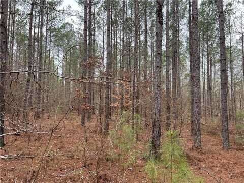 000 PINKSTON LANE, DADEVILLE, AL 36853