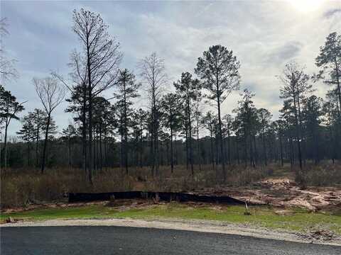 2105 MOURNING DOVE LANE, OPELIKA, AL 36801