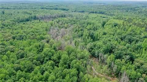 0 LEE ROAD 76, WAVERLY, AL 36879
