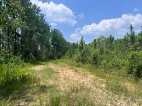 0 N COUNTY ROAD 72 N, ARITON, AL 36311