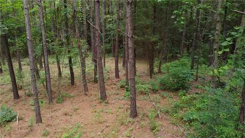 Lot 10 LEE ROAD 88, AUBURN, AL 36879