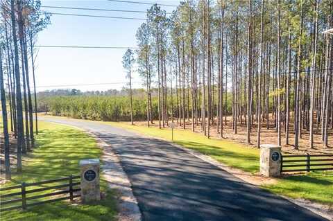 2045 MOURNING DOVE LANE, OPELIKA, AL 36801