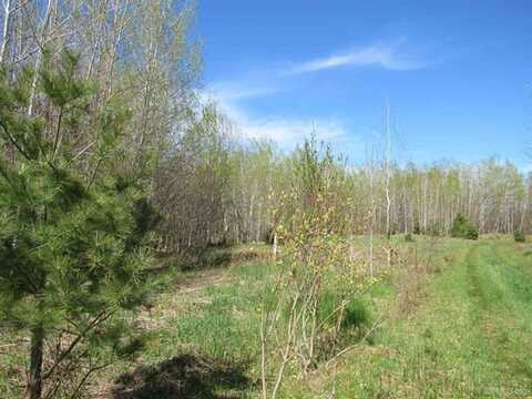 TBD Off Rice Lake Rd, Lake Linden, MI 49945