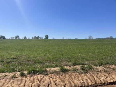 300 CR 528, Fredericktown, MO 63645