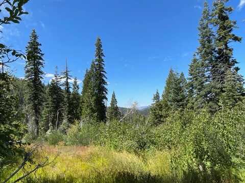 000 Big Creek Rd, Bucks Lake, CA 95971