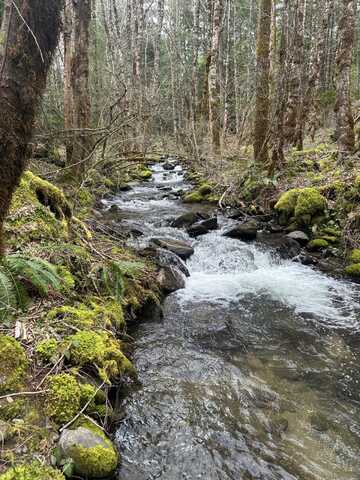 0 Caves Camp Road, Williams, OR 97544