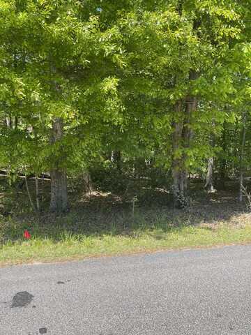 Lot 12 Knollwood Dr, Dadeville, AL 36853