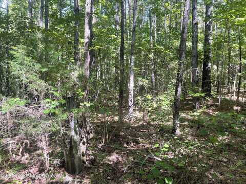 +/-36 Acres Freeman Rd, Dadeville, AL 36853