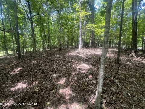 Lot 18 Palmer Dr, Dadeville, AL 36853