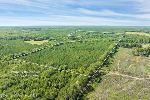 +/- 96 Acres Jack Wilson Rd, Camp Hill, AL 36850