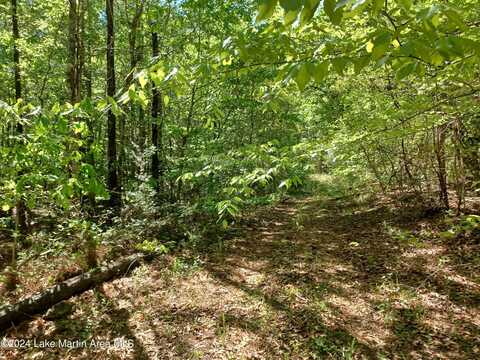 Walls Rd, Goodwater, AL 35072