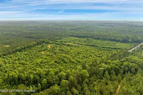 130 +/- Acres Hwy. 280, Jacksons Gap, AL 36861