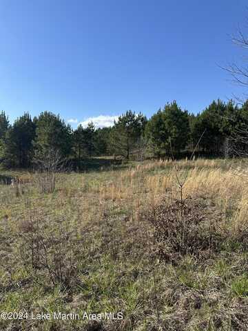 Parcel 2 Obed Loop, Dadeville, AL 36853