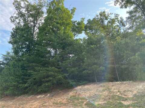 3332 Morning Mist Ln, Toano, VA 23168