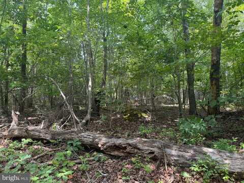 LOT 3 BUCKNER RD, MINERAL, VA 23117