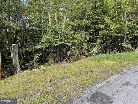 LOT 111 CUB TRL, WINCHESTER, VA 22602