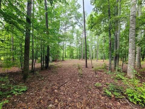 Lot 3 Narrow Path Way, Bowling Green, VA 22427