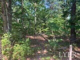 0-Lots 3-5 Trellis Ridge Drive, Lynch Station, VA 24571