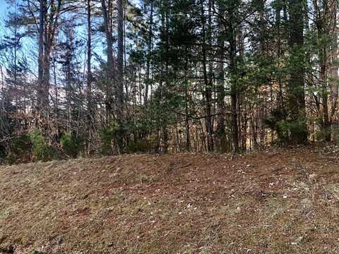 0-Lot 247 Clear Pointe Run, Lynch Station, VA 24571