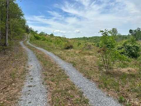 0-LOT 1 Leesville Road, Lynch Station, VA 24571