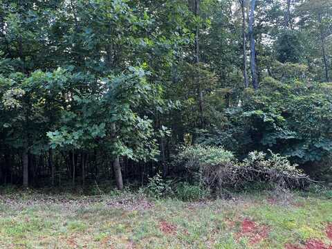 0-Lot 332 Bay View Road, Lynch Station, VA 24571