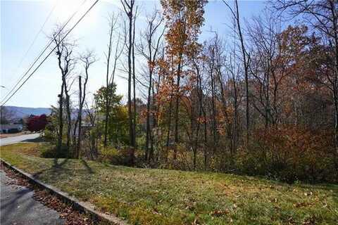 Westside Road, Mahoning, PA 18235