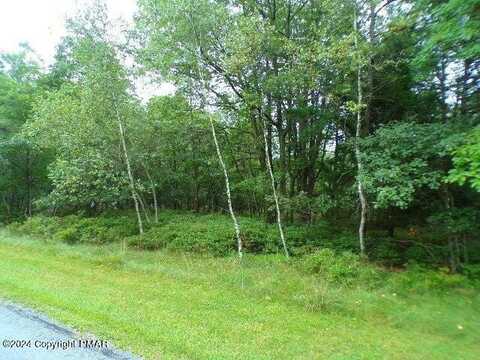 Lot 79 Patten Circle, Penn Forest, PA 18210