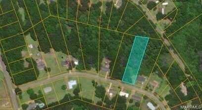 0 County Road 232 Road, Valley Grande, AL 36701