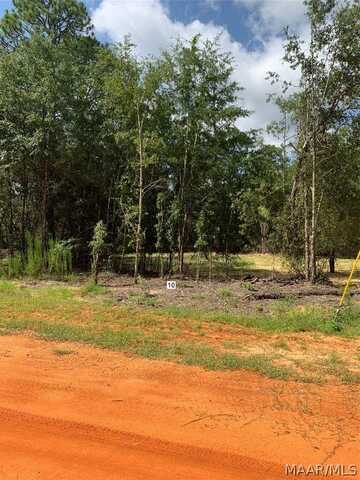 Lot 10 Deer Loop, Camden, AL 36726