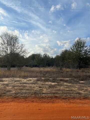 Lot 41 Deer Loop, Camden, AL 36726