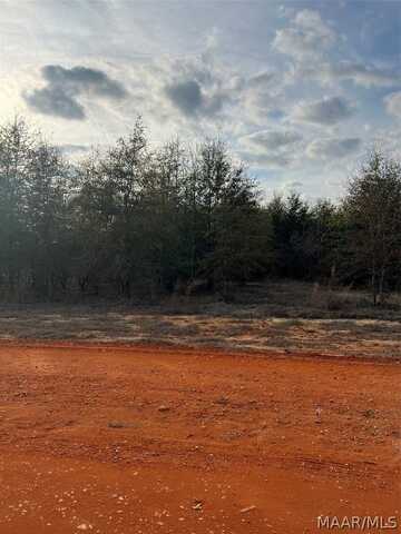 Lot 21 Deer Loop, Camden, AL 36726