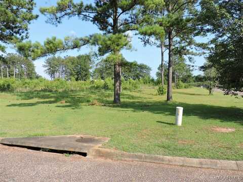 Lot G1 Longleaf Lane, Greenville, AL 36037