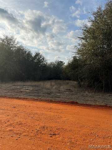 Lot 23 Deer Loop, Camden, AL 36726