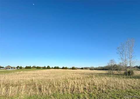 KERINGTON Lane lot: 52, Pike Road, AL 36064