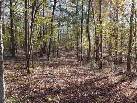 lakeview Court, Wetumpka, AL 36092