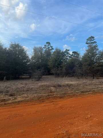 Lot 49 Deer Loop, Camden, AL 36726