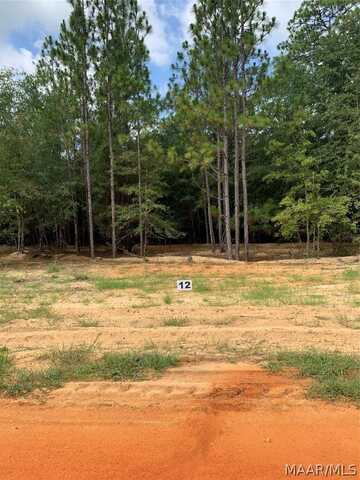 Lot 12 Deer Loop, Camden, AL 36726