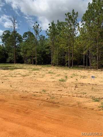 Lot 11 Deer Loop, Camden, AL 36726