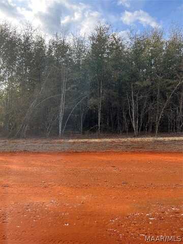 Lot 24 Deer Loop, Camden, AL 36726