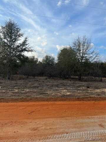 Lot 42 Deer Loop, Camden, AL 36726