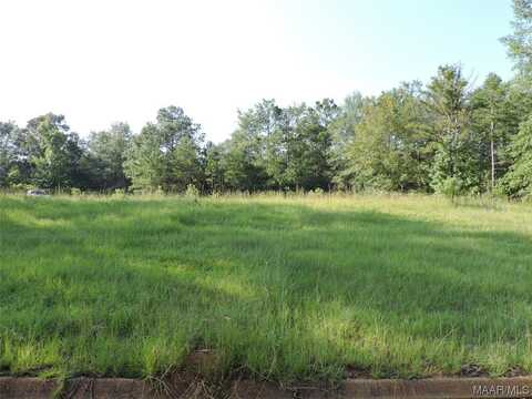 Lot 15b White Oak Way, Greenville, AL 36037