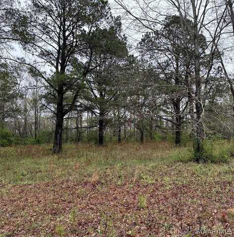 Lot 11 Plantation Drive, Selma, AL 36702